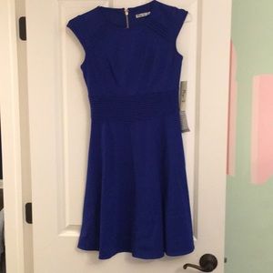 NWT Eliza J cobalt blue cocktail dress
